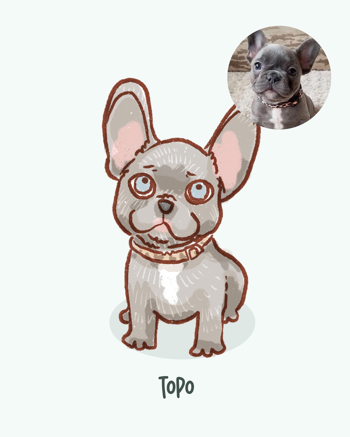 PET CUSTOM PORTRAIT